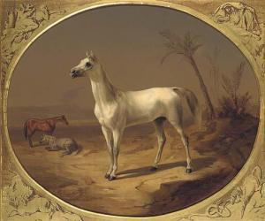 Theodor Horschelt A Grey Arabian Horse oil painting picture